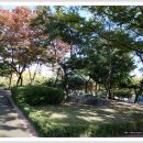 한글비근린공원 이미지