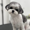 (주)스타몽 이미지