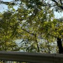 가평남이섬리알토스파수영장가족펜션 이미지