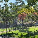 장말어린이공원 이미지