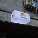 개코샵 | 동탄 파충류샵 부기배미 다양한 개체 있는 파충류샵 방문 후기