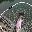 말고개낚시터 이미지