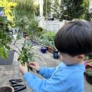 다모아유치원 이미지