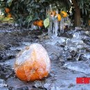 (주)레드오렌지 이미지