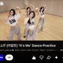 팔팔스케이트 | dadgetool 압구정 팝업