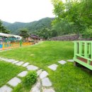 애견발자국 이미지