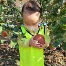 해피엔젤어린이집 이미지