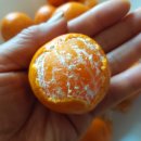 대보농장 이미지