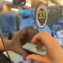 런PC 네이버블로그