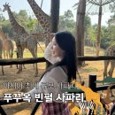 (주)자리 | [푸꾸옥] 아시아 최대 규모 사파리 / 빈펄 사파리 후기 / 주트램 자리 꿀팁 / 버기카 필수