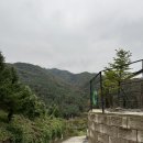 아미캠핑장 | [연천] 경기도 수도권 신생 애견동반 캠핑장 <아미힐캠핑장> 🏕️ C2 사이트 이용 후기