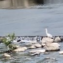 강내과 이미지
