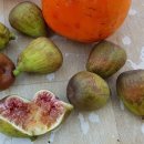 라온뜨락 이미지