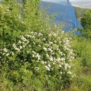 밤산농원 이미지