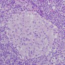 대원한의원 이미지