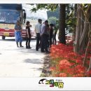 반도흑염소 농장 네이버블로그