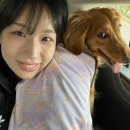 지피미 | 내가학사졸인세계관..