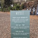 모노클 | 서귀포 카페 맛집 모노클 제주 방문후기(치즈케이크가 참 맛있는 곳)