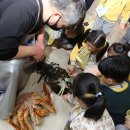 가락어린이집 이미지