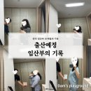 담담이 출산하러 갑니다(임신 10개월의 기록)