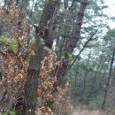 녹도 공중화장실 | 섬여행 : 여우를 닮은 섬, 호도섬 백패킹