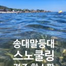 노랑등대 앞 | 경주 송대말등대 국내 스노쿨링 명소 주차 팁 부산근교 물놀이 스팟 / 로컬 맛집 추천 대왕기사식당