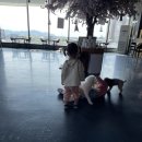 루이야 학교가자 이미지