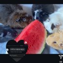 60계치킨원종점 | ⠀