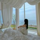 나나힐 - 16451 | 포항 독채 펜션 풀빌라 수영장 나나힐 오션뷰감성숙소 추천