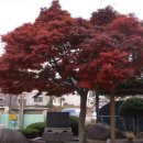 고흥읍사무소 이미지