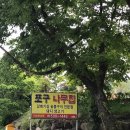 포구나무집 - 양산시 상북면 | 포구나무집