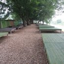 느티나무 그늘아래 평상 이미지