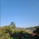 대대 찹쌀아구찜 이미지