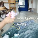 뽀송뽀송 세탁하우스 이미지