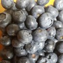 솔미농원 이미지