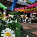 진홍사 | 20240515 부처님 오신 날 금정산 삼사순례 feat. 불암사 진홍사 미륵사 국청사 사사순례인데..