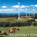 영양햇빛발전소 이미지