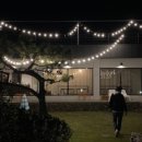 삼일삼오 이미지