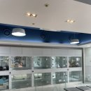 방주동물의료센터 이미지