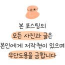 쓰기로 표현력 키우기(초3) 이미지