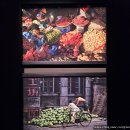 퇴계로 | 퇴계로 '피크닉'서 박용만 전 회장 사진전 'Human Moment' 관람후기