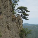 금성산(金城山530m).영니산(盈尼山502m).비봉산(飛鳳山671m)/경북의성 이미지