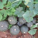 산들농장 이미지