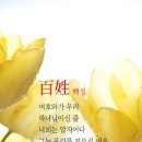 백성 이미지