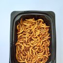 무안곤충농장 이미지