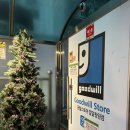 사파동245 | 물품 기부, 구매 가능한 창원 가로수길 굿윌스토어 방문 후기