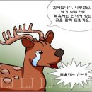 선녀와나무꾼 이미지