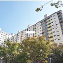 수원-1259 Daum카페