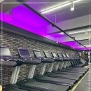 나다피트니스 이미지