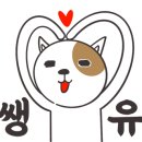 월면가 & 카페홍 네이버블로그